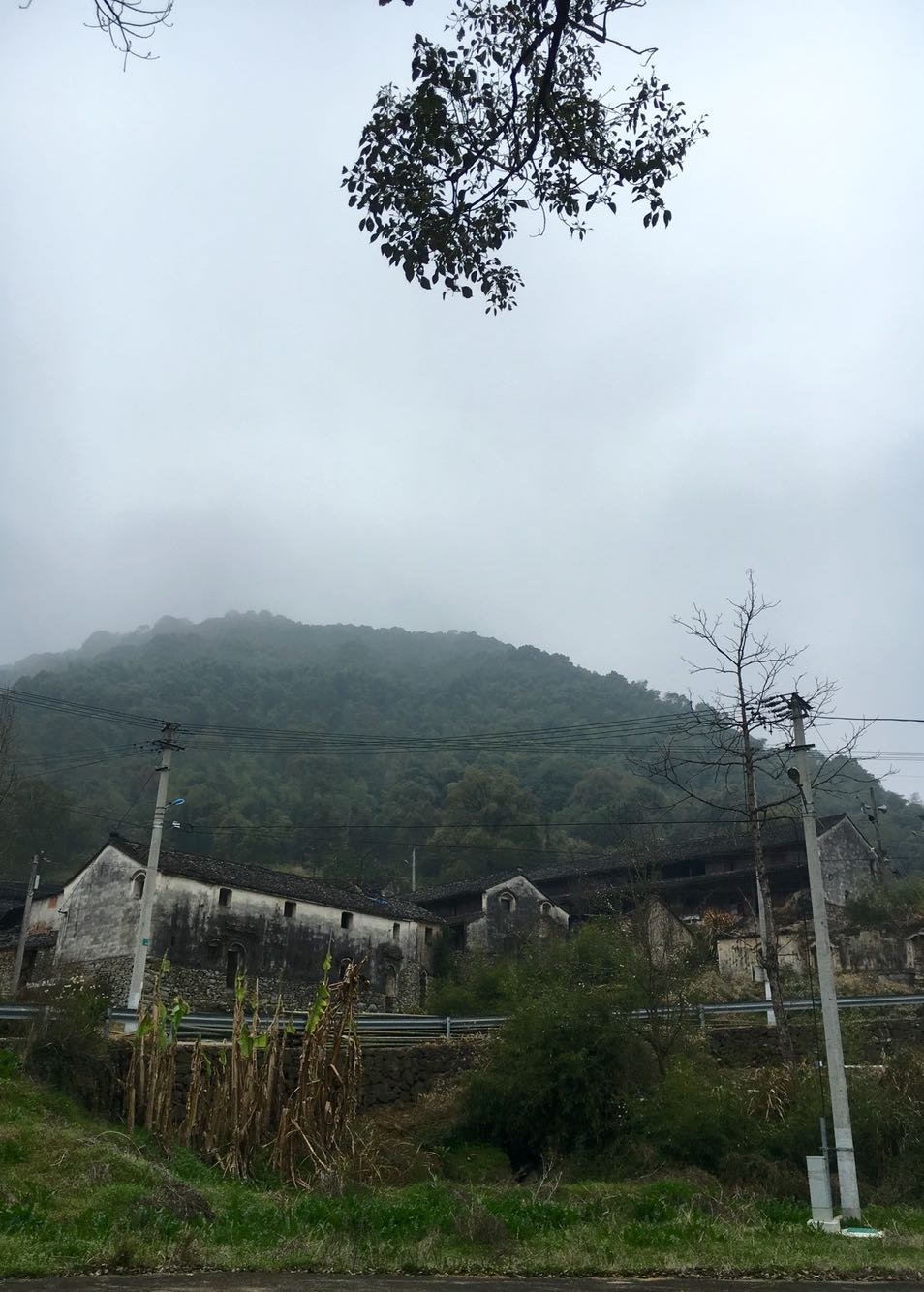 横石村天气预报更新通知