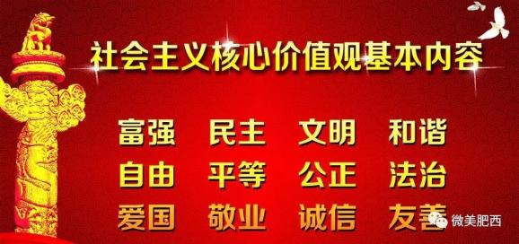 国青村委会最新招聘信息全面解析