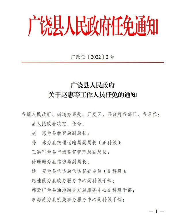 长岛县人民政府办公室最新人事任命，构建未来领导团队的关键步骤