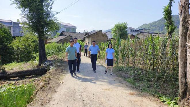 峡门村民委员会最新项目启动，振兴乡村，共筑美好未来