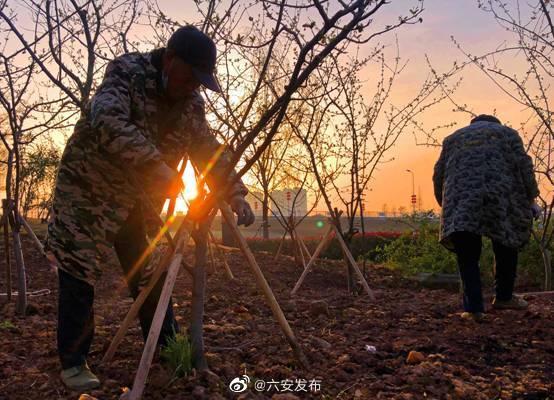 六安市国土资源局最新项目动态概览