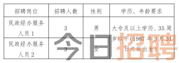 瑶沟乡最新招聘信息全面解析