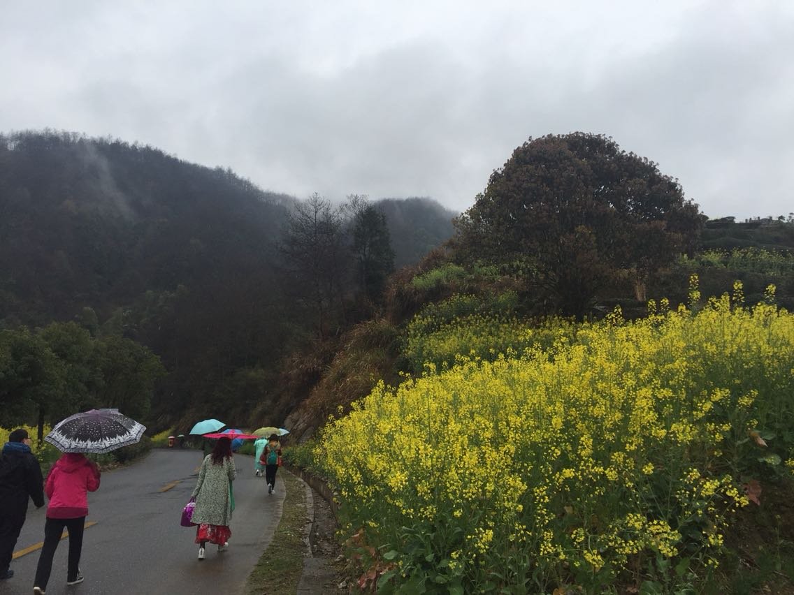 黄尾镇天气预报更新通知